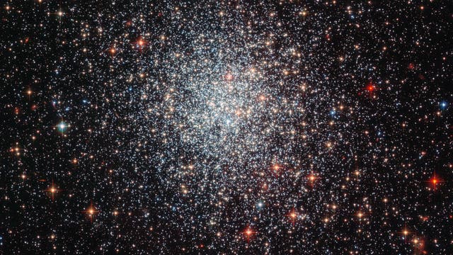 Der Kugelsternhaufen NGC 1783 in der Großen Magellanschen Wolke (Aufnahme des Weltraumteleskops Hubble)