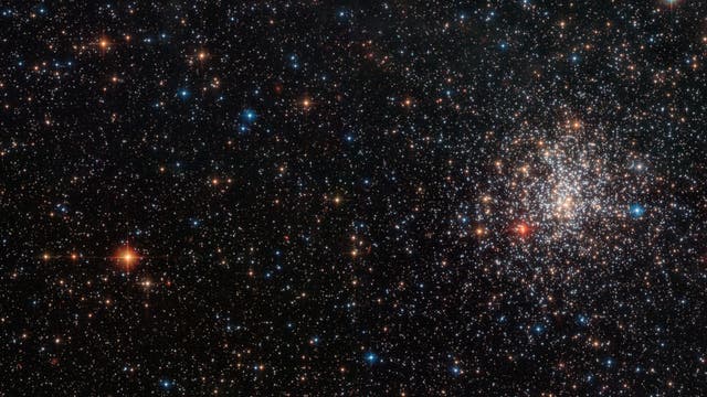 Der Kugelsternhaufen NGC 2108, in einer Aufnahme des Hubble Weltraumteleskops, mit einem auffälligen, tiefrot leuchtenden Stern links unten im Kugelsternhaufen. Dabei handelt es sich um einen Kohlenstoffstern.
