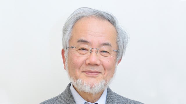 Yoshunori Ohsumi, Medizin-Nobelpreisträger 2016