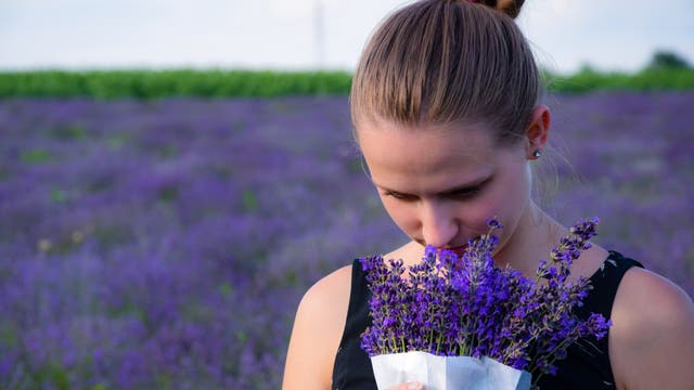 Frau riecht an Lavendelblüten