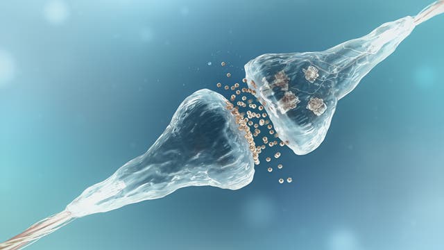 Grafische Darstellung eines synaptishen Spalts mit wandernden Neurotransmittern