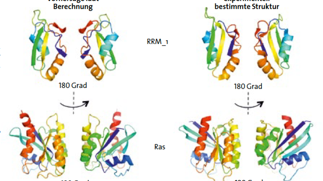 Proteinstrukturen