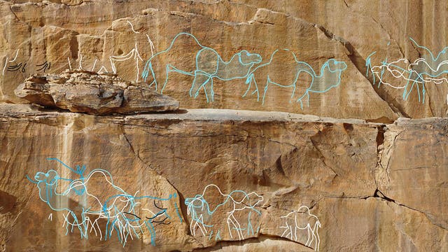 Felswand mit eingravierten Skizzen von Kamelen und Menschen. Die Zeichnungen sind in hellen Linien gehalten und zeigen mehrere Kamele in einer Karawane, begleitet von menschlichen Figuren. Die Gravuren sind auf einer natürlichen Felsoberfläche angebracht, die eine sandige, erodierte Textur aufweist.