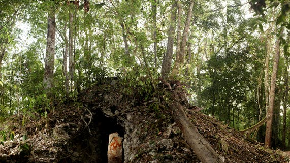 Früheste astronomische Aufzeichnungen der Maya entdeckt