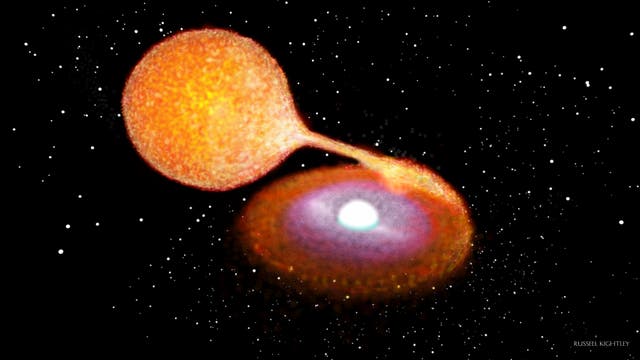 Das Doppelsternsystem des Weißen Zwergs LP 40-365 (künstlerische Darstellung)