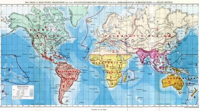 Alfred Russel Wallaces Weltkarte zur Verteilung der Tiere