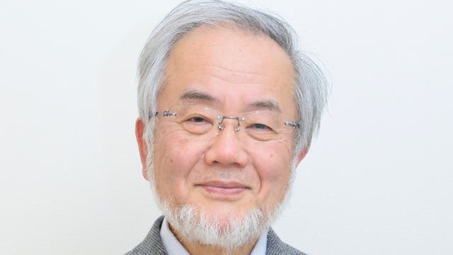 Yoshunori Ohsumi, Medizin-Nobelpreisträger 2016