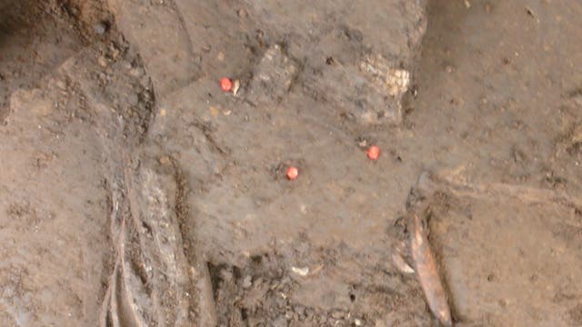 Steinzeitliches Skelett aus Franken