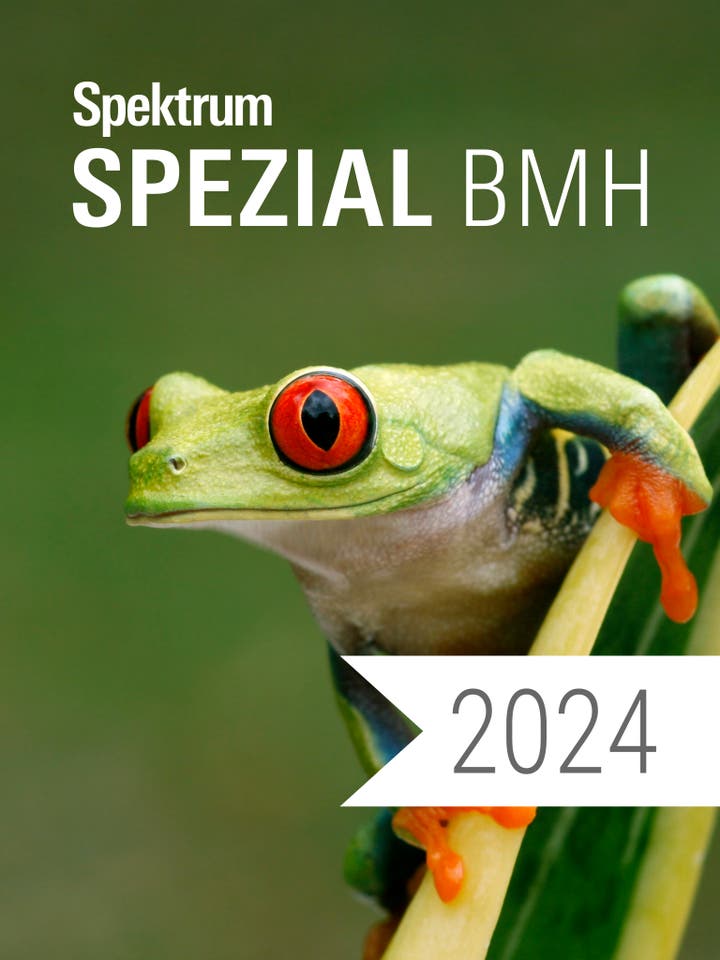 Digitalpaket BMH Jahrgang 2024 Teaserbild