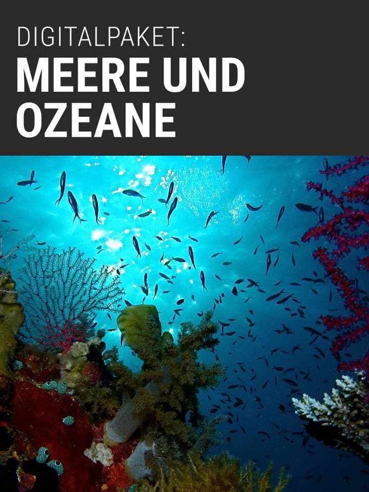 Digitalpaket: Meere und Ozeane_Teaserbild