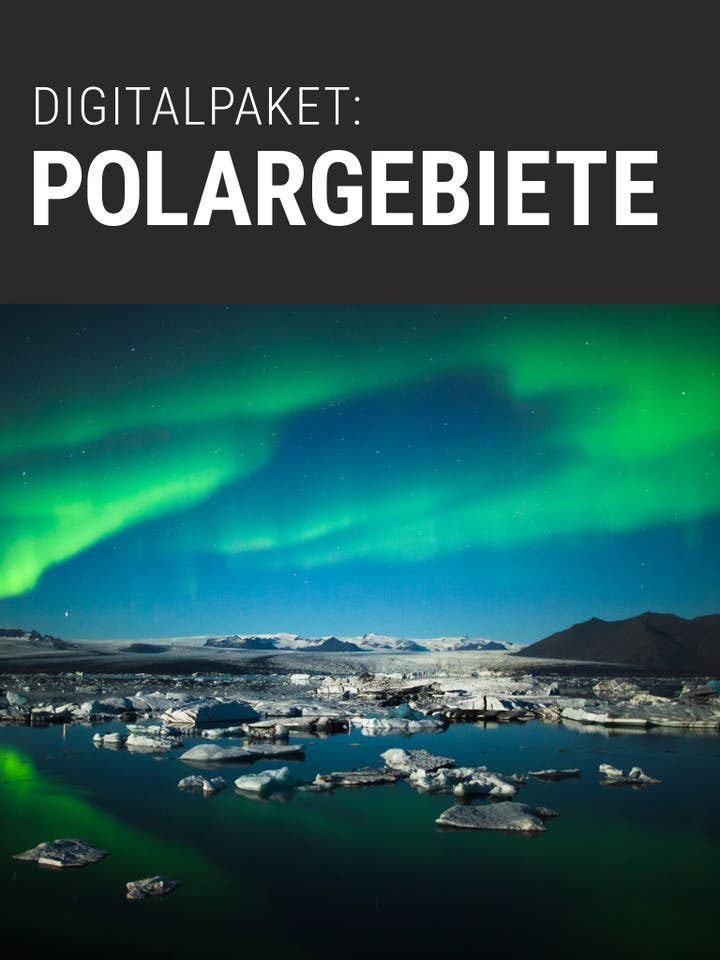 Spektrum.de Digitalpaket: Polargebiete