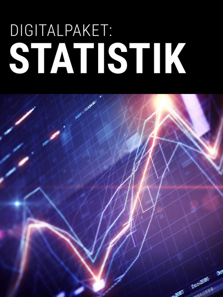  Digitalpaket: Statistik