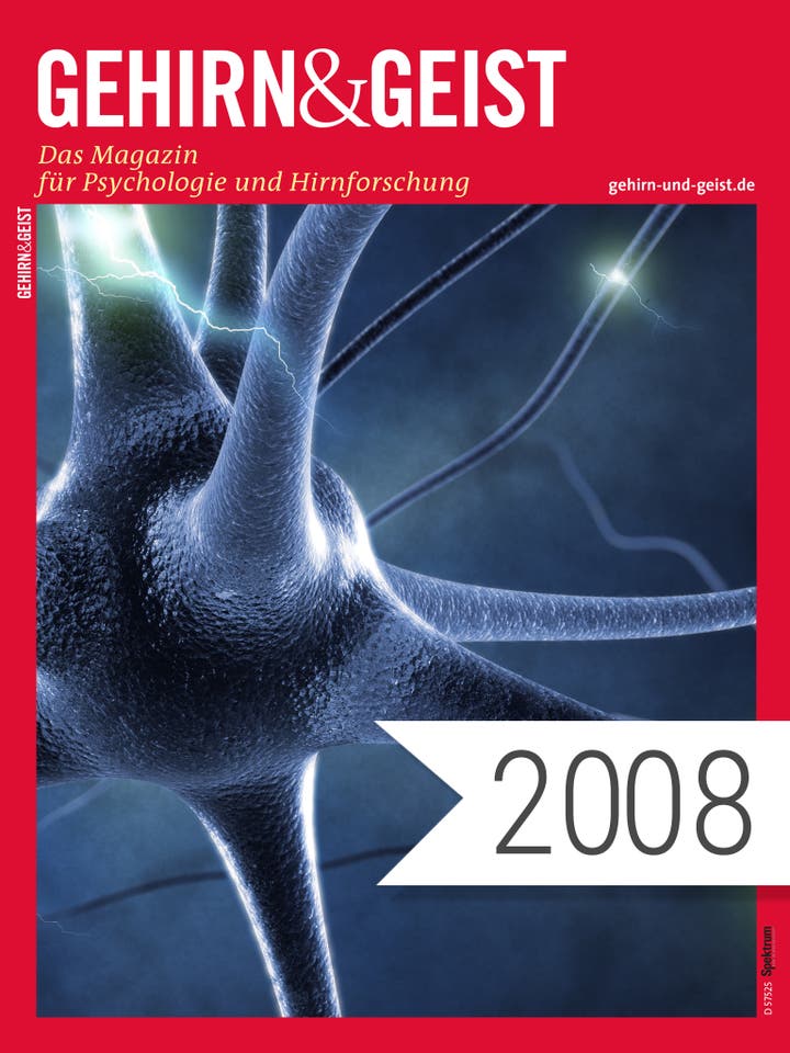 Digitalpaket Gehirn&Geist Jahrgang 2008_Teaserbild
