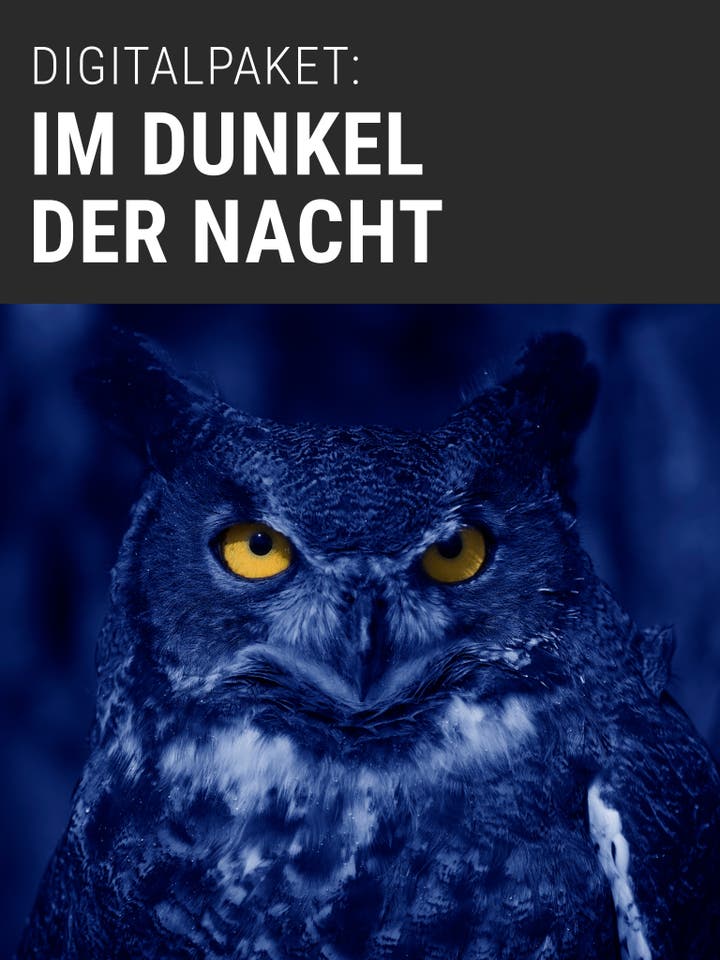 Digitalpaket: Im Dunkel der Nacht Teaserbild