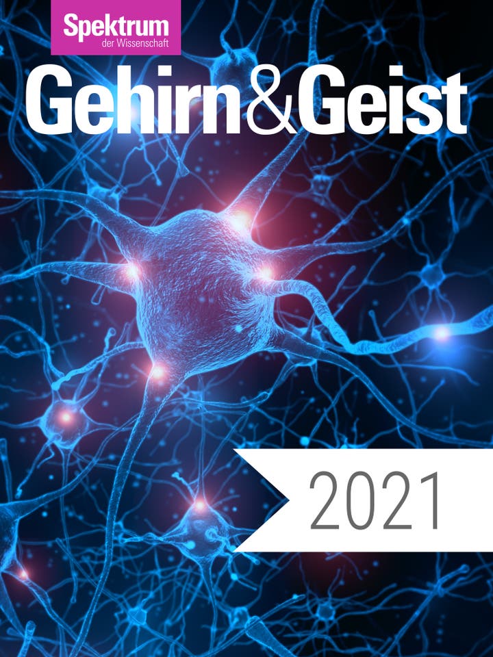 Digitalpaket: Gehirn und Geist Jahrgang 2021