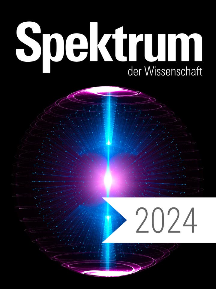 DP SDW Jahrgang 2024 Teaserbild