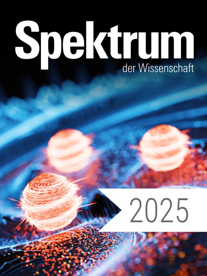 DP SDW Jahrgang 2025 Teaserbild