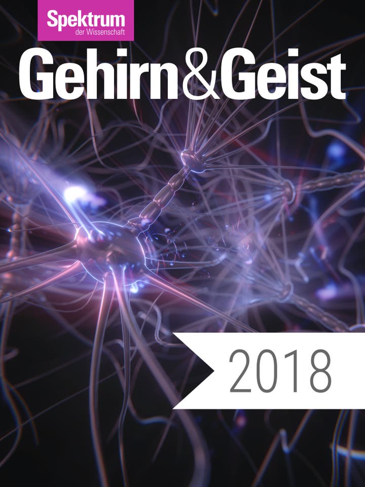 Digitalpaket Gehirn&Geist 2018 Teaserbild