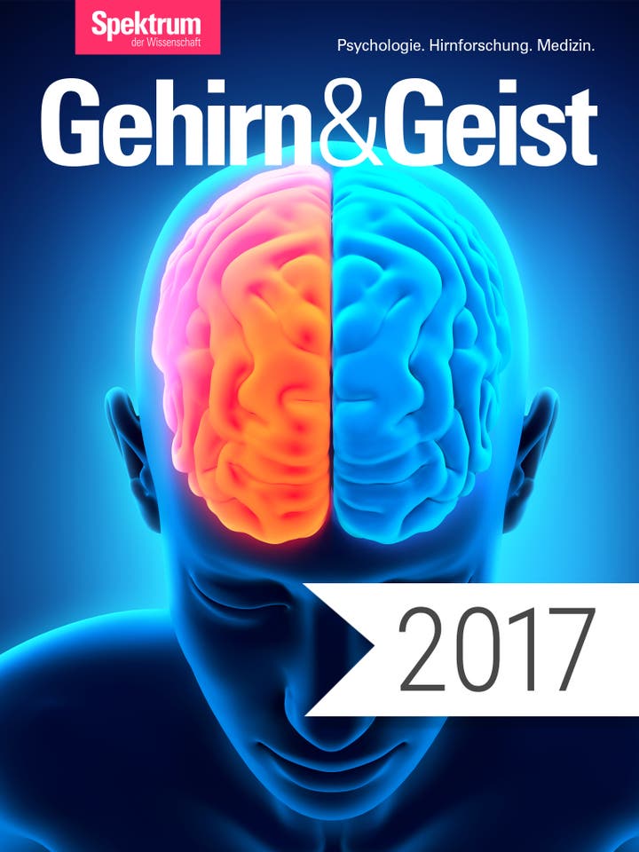 Digitalpaket: Gehirn und Geist Jahrgang 2017_Teaserbild