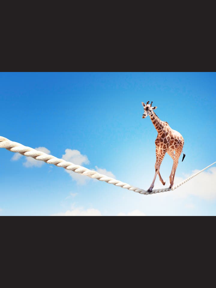 Katherine Rundell: Warum die Giraffe nicht in Ohnmacht fällt