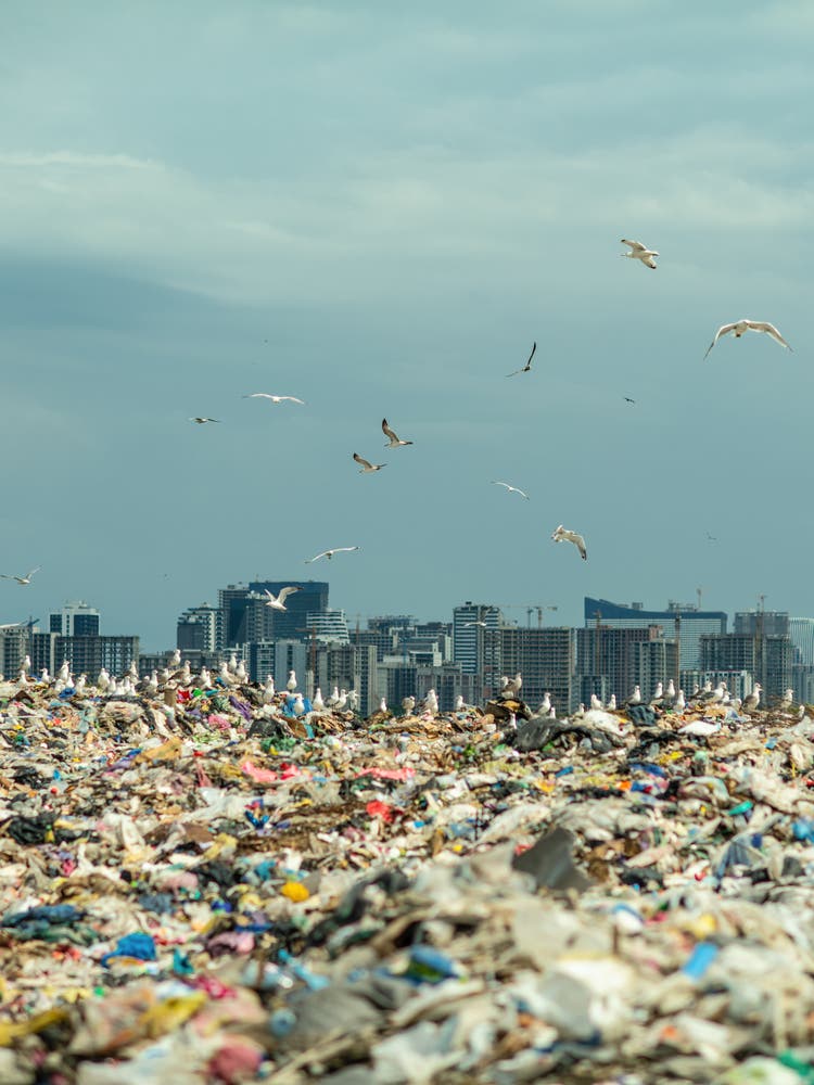 Foto einer Plastikmülldeponie,...