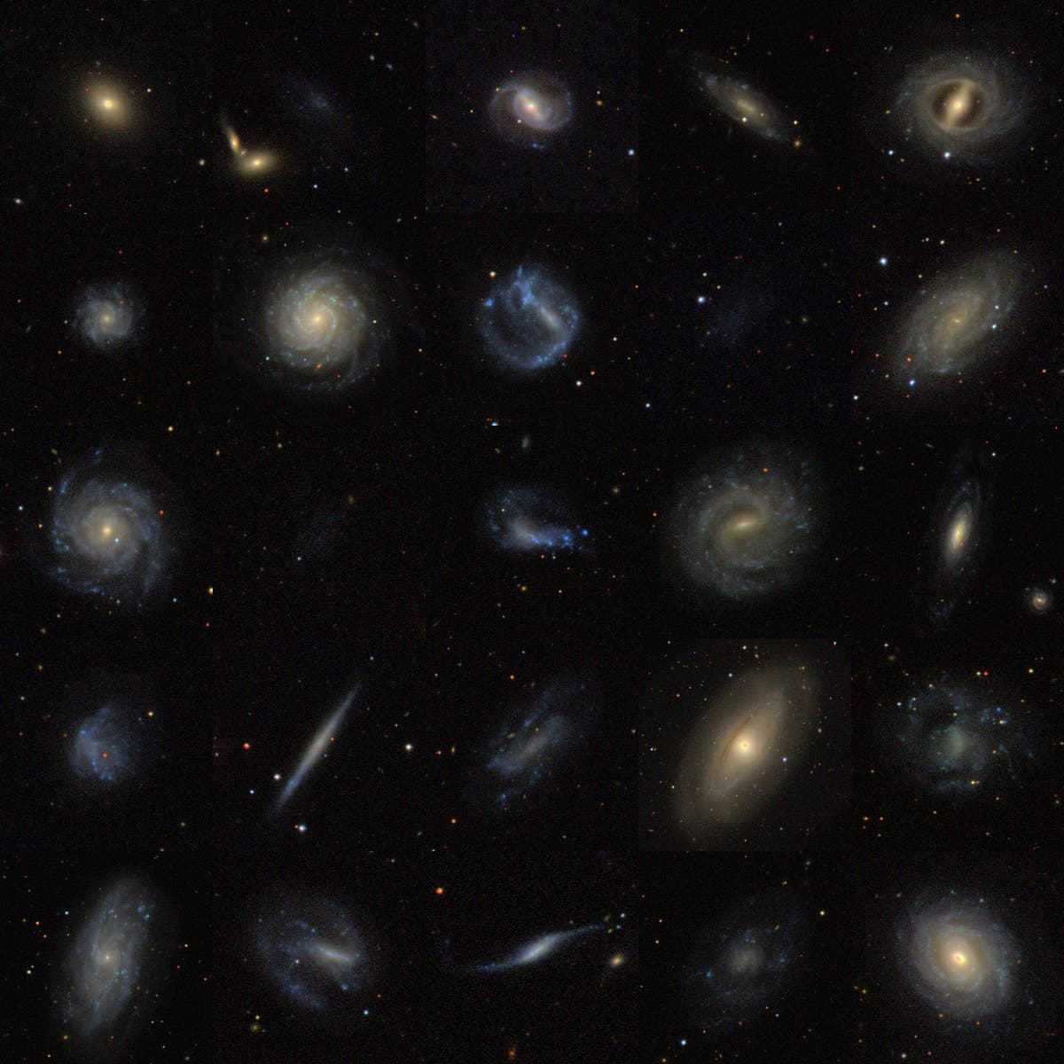 Galaxienvielfalt