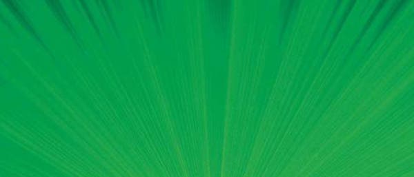 Grüne Laser Grüne Laser