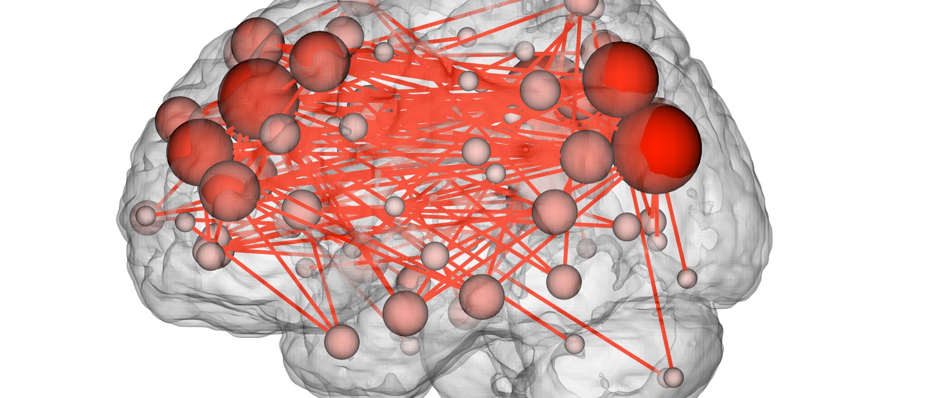 Neuronale Verbindungen Neuronale Verbindungen