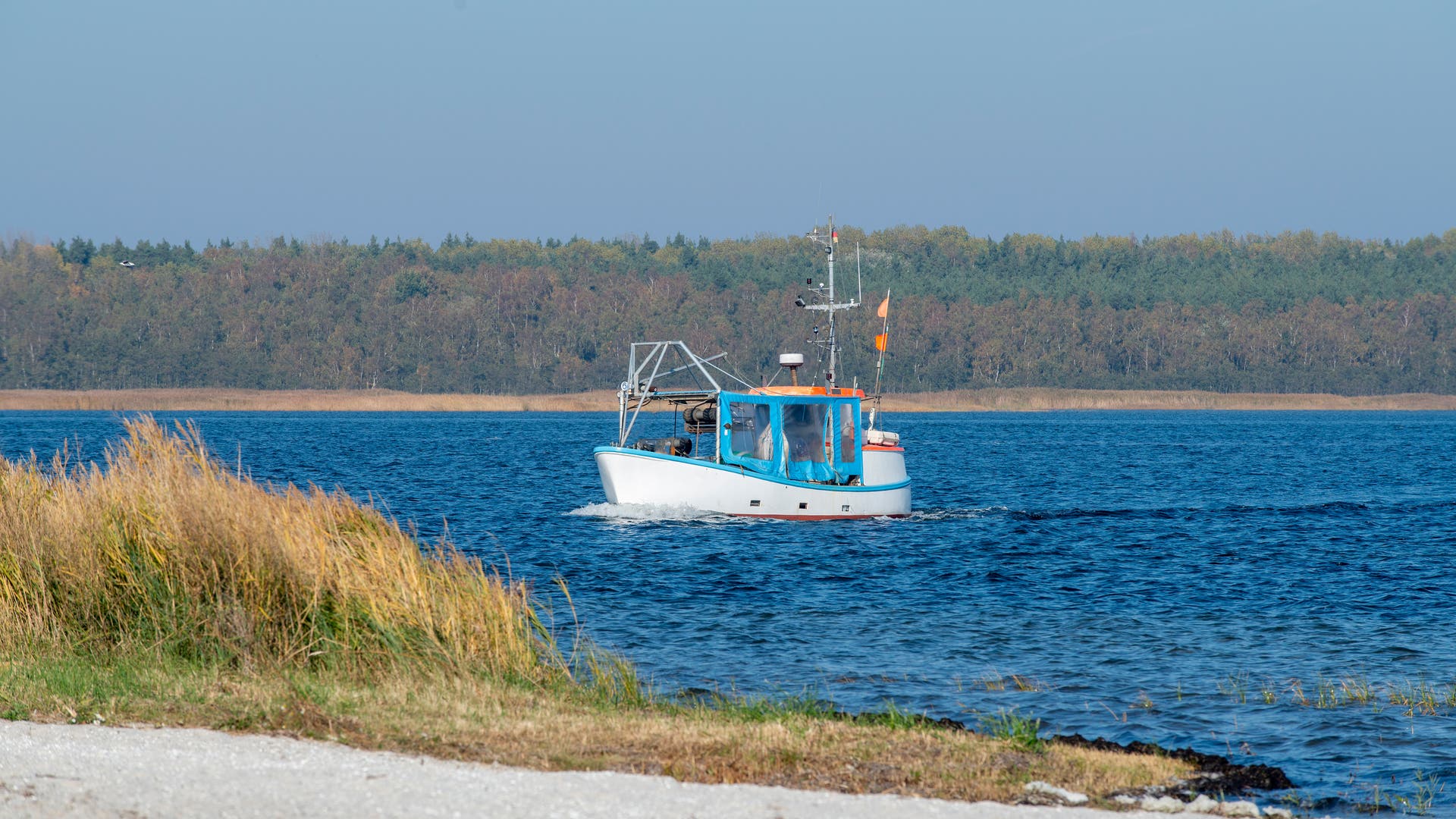 Ostsee-Fangquoten 2021: Weniger Hering, etwas mehr Dorsch - Spektrum ...