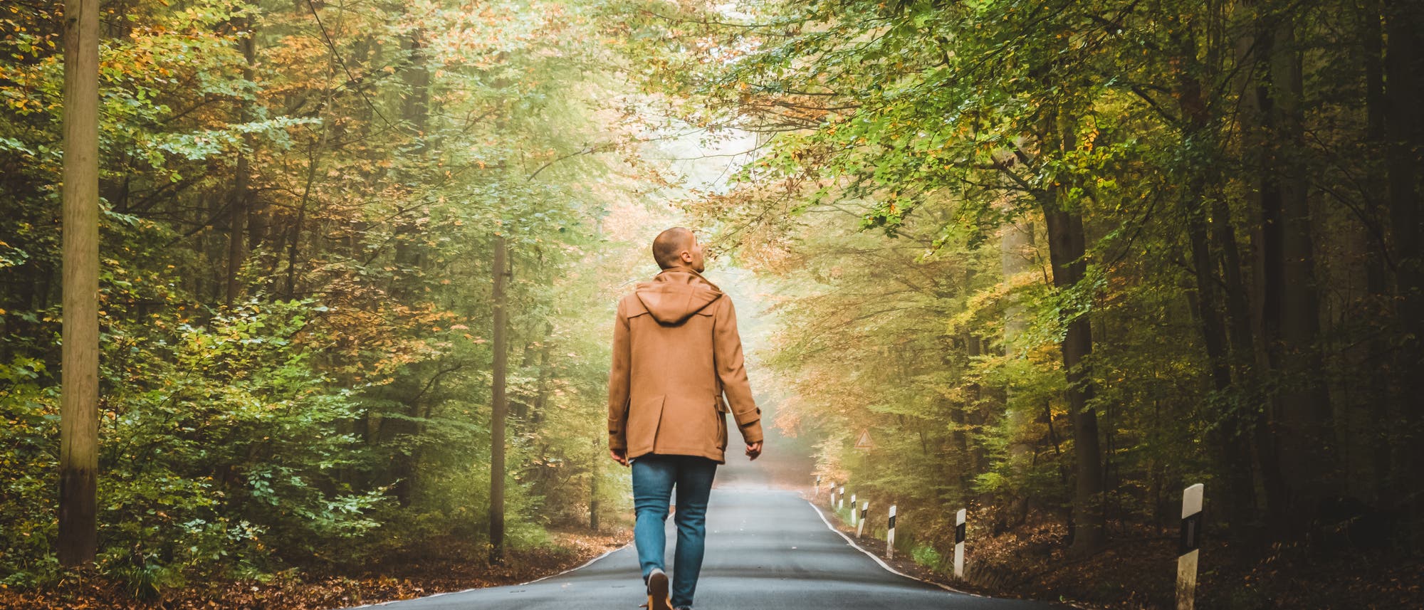 Ein Mann geht allein über eine Straße durch den Wald. Ein Mann geht allein über eine Straße durch den Wald.