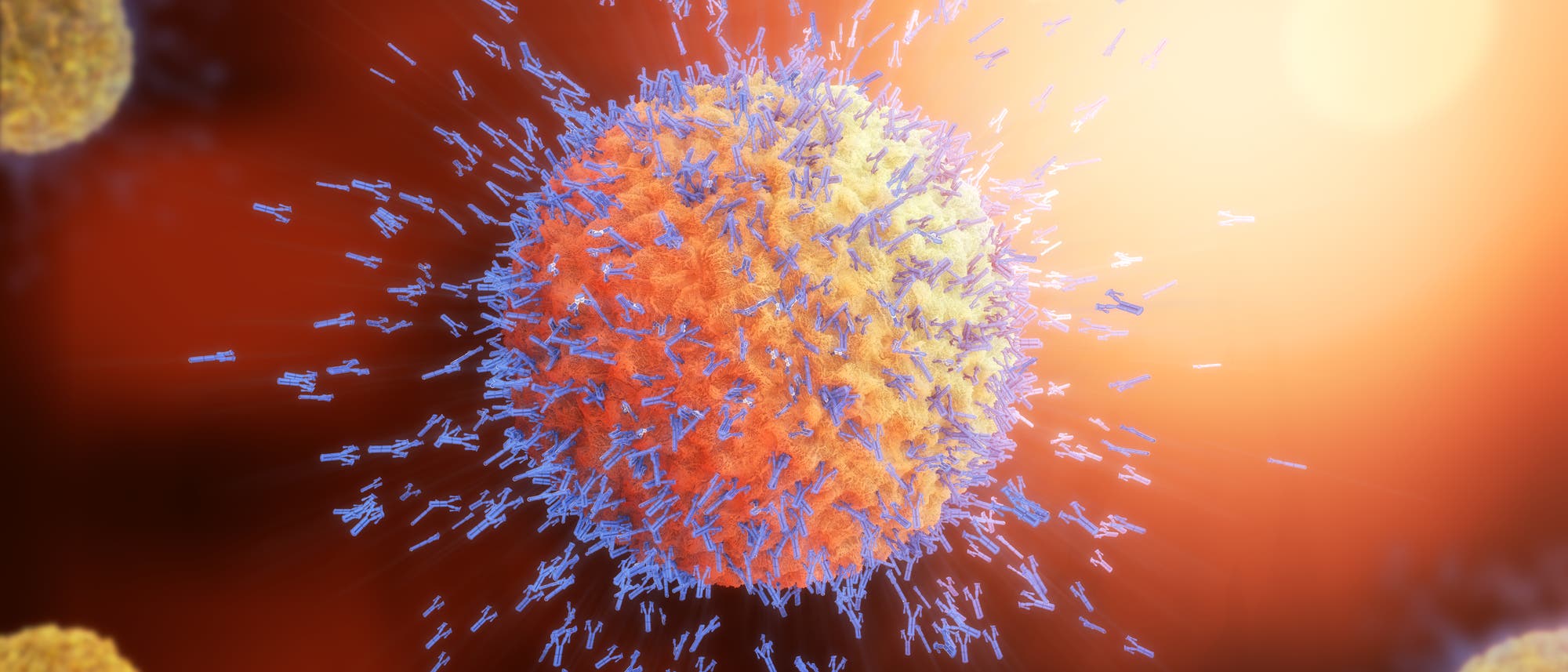 Virus Virus