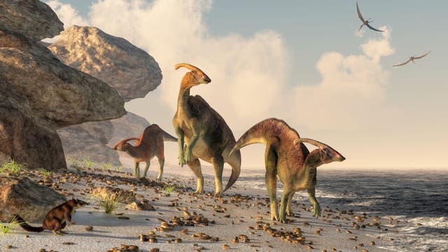 Drei Hadrosaurier flanieren am Strand. Die Abbildung ist eine künstlerische Darstellung, was streng genommen heißt, dass nahezu nichts daran stimmt.