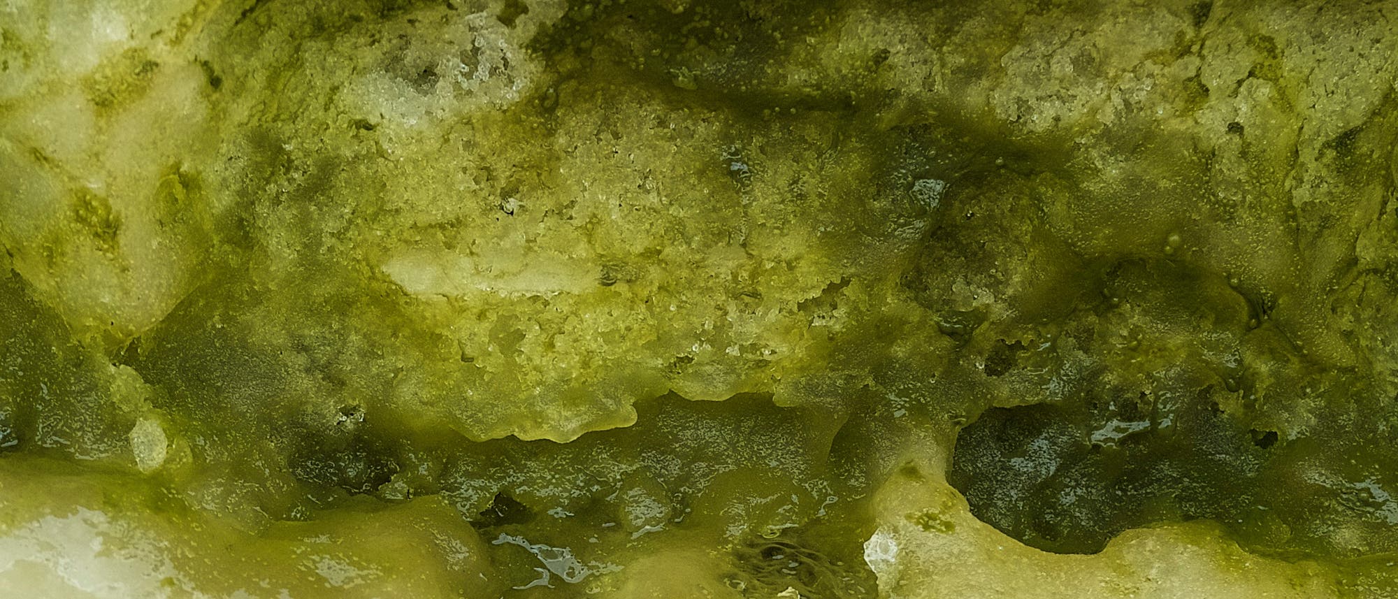Grüner Schnee in der Antarktis Grüner Schnee in der Antarktis