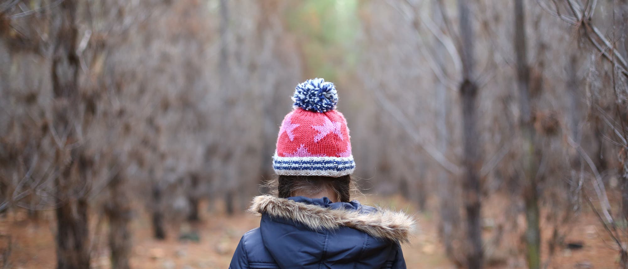 Dieses Jahr erinnert nichts an den Winter, wie man ihn kannte: kaum Schnee, kaum Frost, kaum Frösteln. Dieses Jahr erinnert nichts an den Winter, wie man ihn kannte: kaum Schnee, kaum Frost, kaum Frösteln.