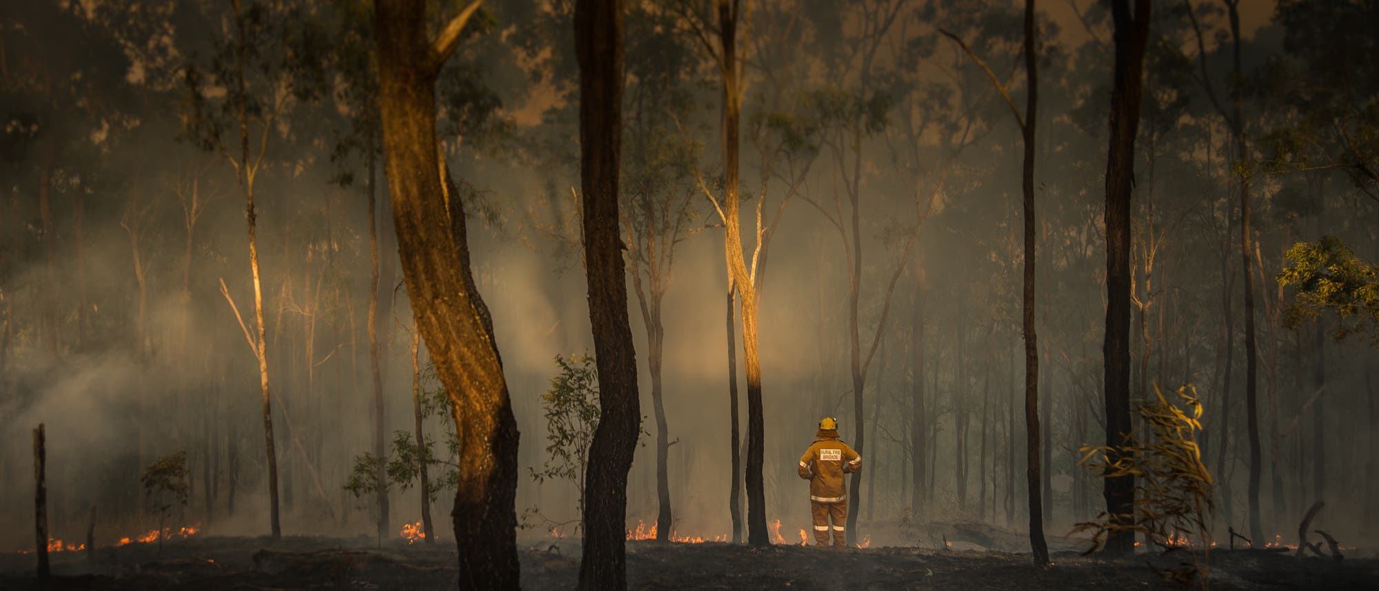 Ein Feuerwehrwehrmann steht allein im brennenden Wald