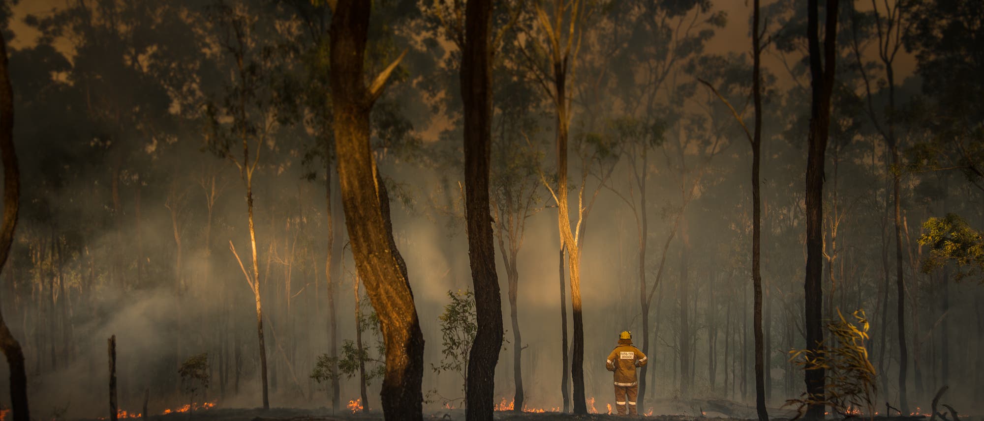 Waldbrand Waldbrand