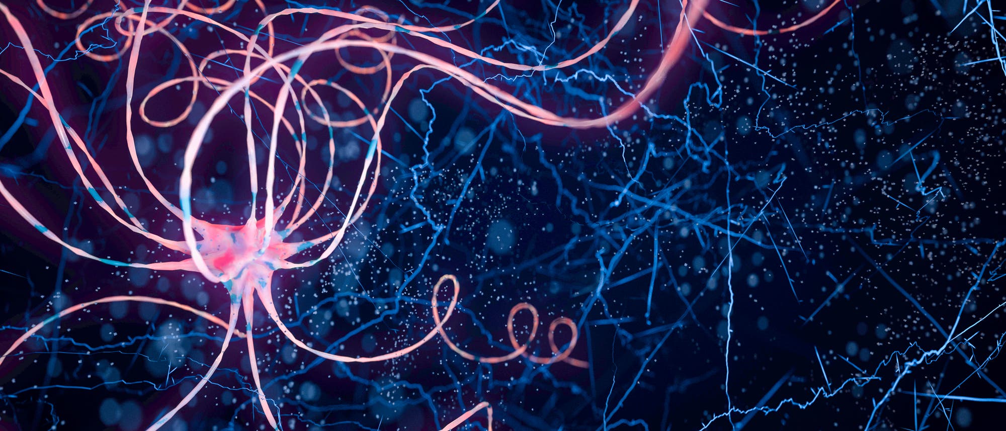 In den vergangenen Jahren haben Neurowissenschaftler viel über die Signalübertragung bei Schmerz, die beteiligten Schaltkreise und Moleküle, herausgefunden. In den vergangenen Jahren haben Neurowissenschaftler viel über die Signalübertragung bei Schmerz, die beteiligten Schaltkreise und Moleküle, herausgefunden.