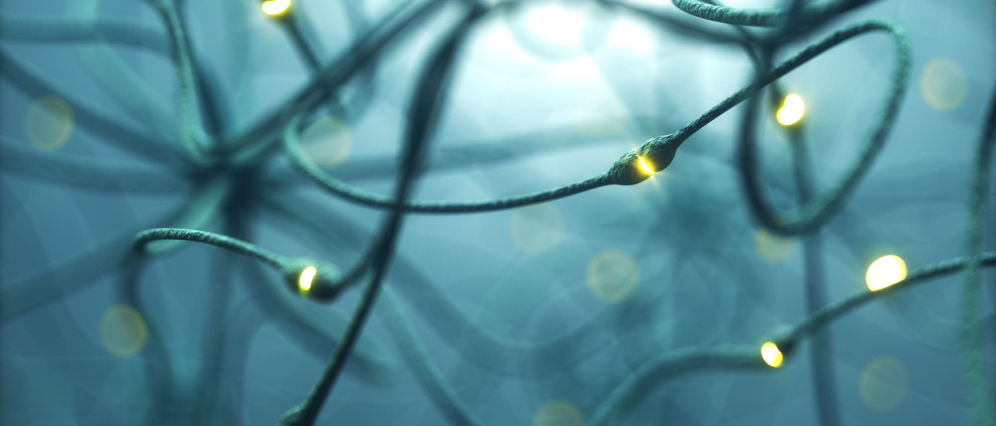Neurone Neurone