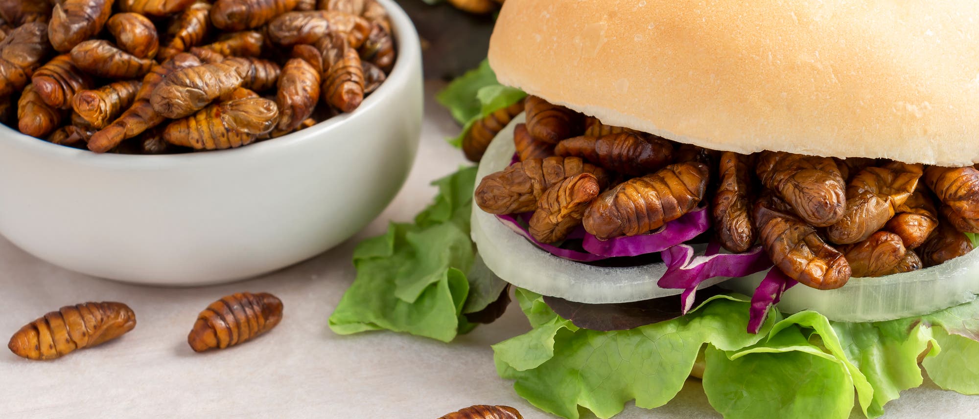 Ein Burger und eine Porzellanschale mit braun gerösteten Seidenraupenpuppen. Ein Burger und eine Porzellanschale mit braun gerösteten Seidenraupenpuppen.