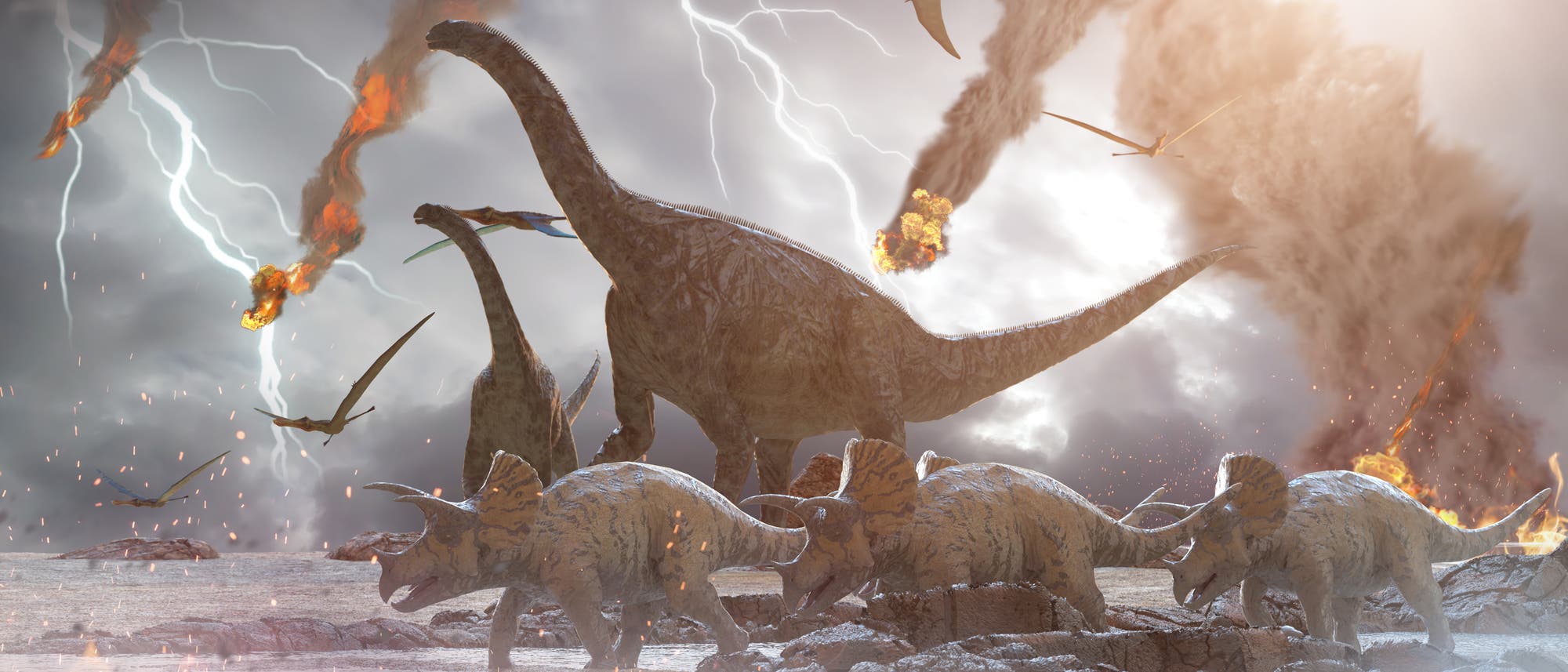 Asteroideneinschlag vernichtet Dinosaurier Asteroideneinschlag vernichtet Dinosaurier