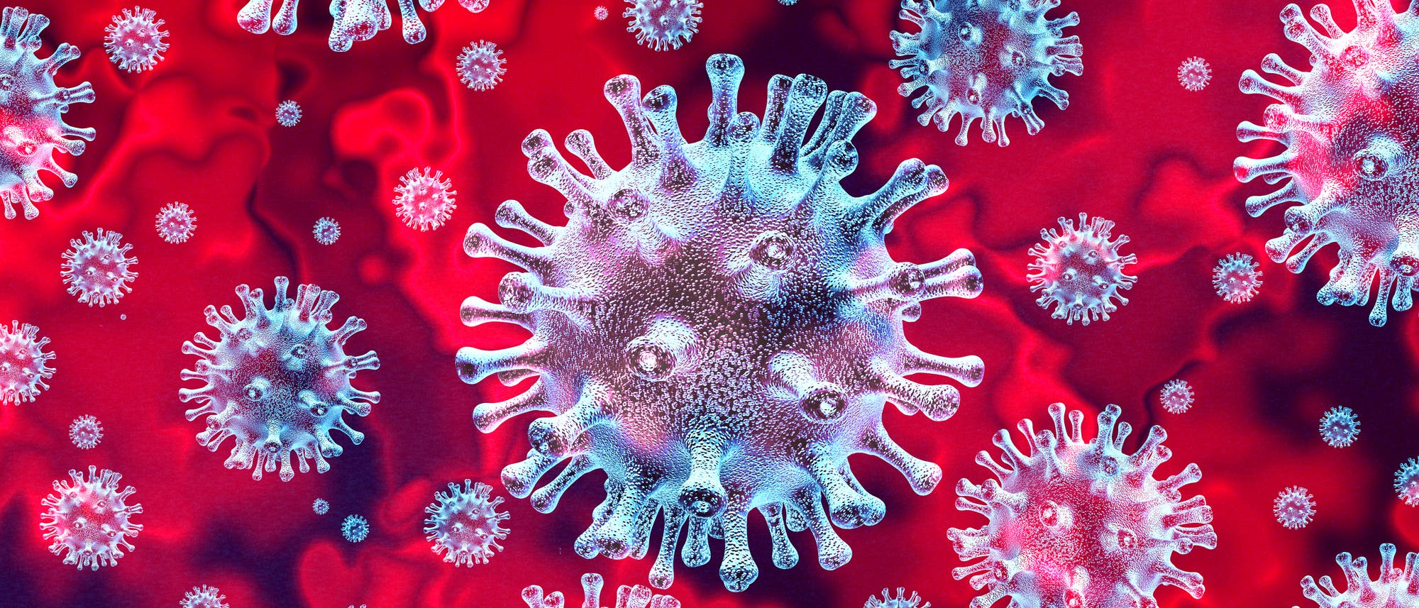 Die Simulation zeigt ein Coronavirus. Die Simulation zeigt ein Coronavirus.