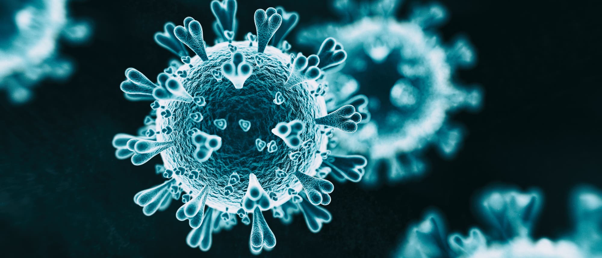 Coronavirus Coronavirus