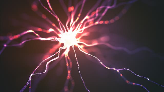 Nervenzelle elektrischer Impuls