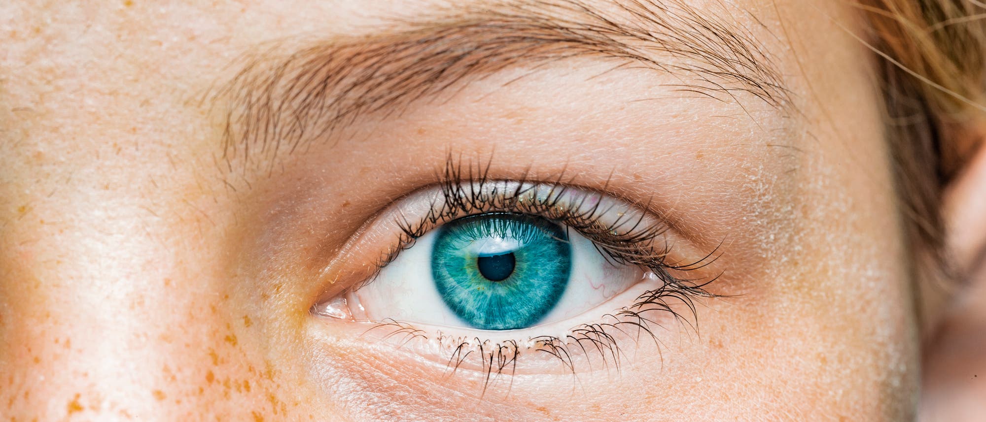 Auge in Nahaufnahme Auge in Nahaufnahme
