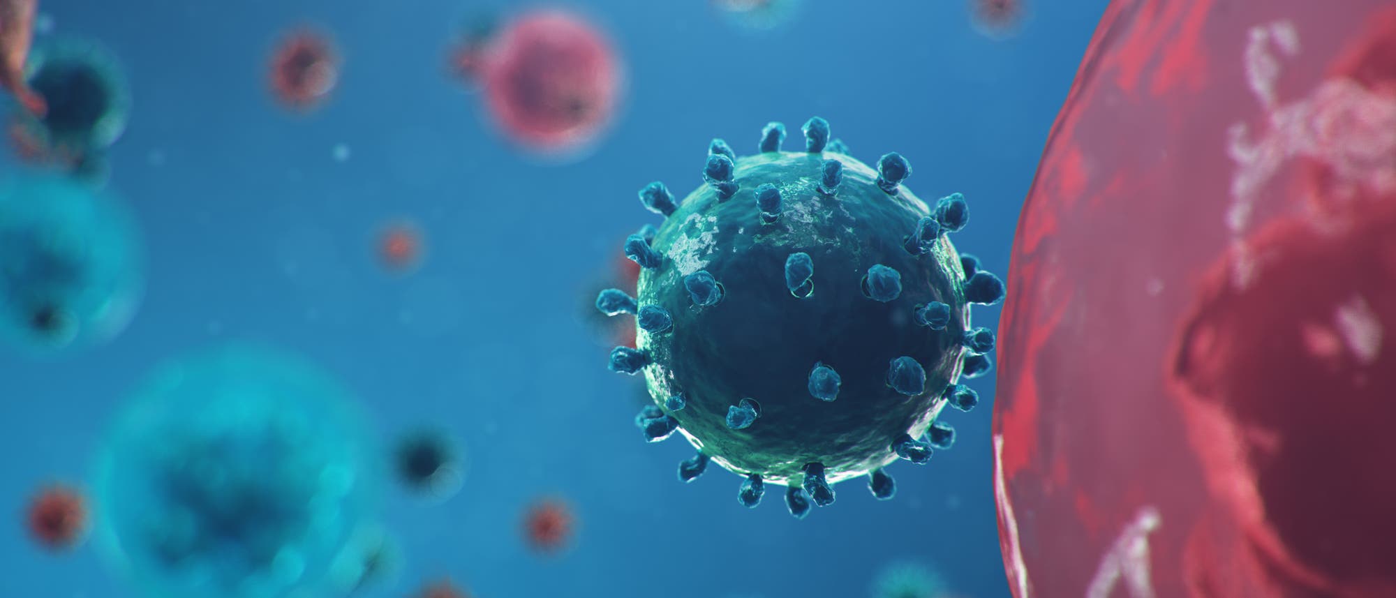 Coronavirus dockt an eine Zelle an Coronavirus dockt an eine Zelle an