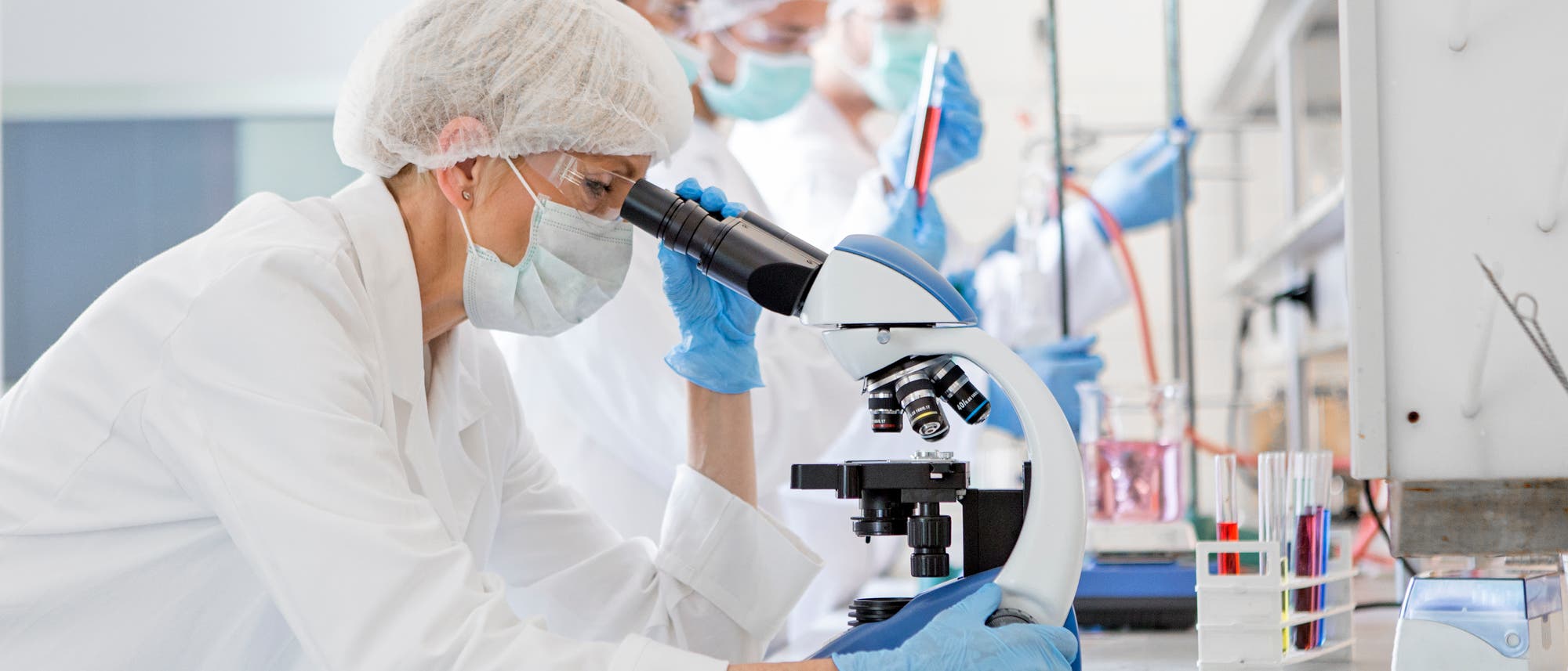 Wissenschaftlicher Nachwuchs Wissenschaftlicher Nachwuchs