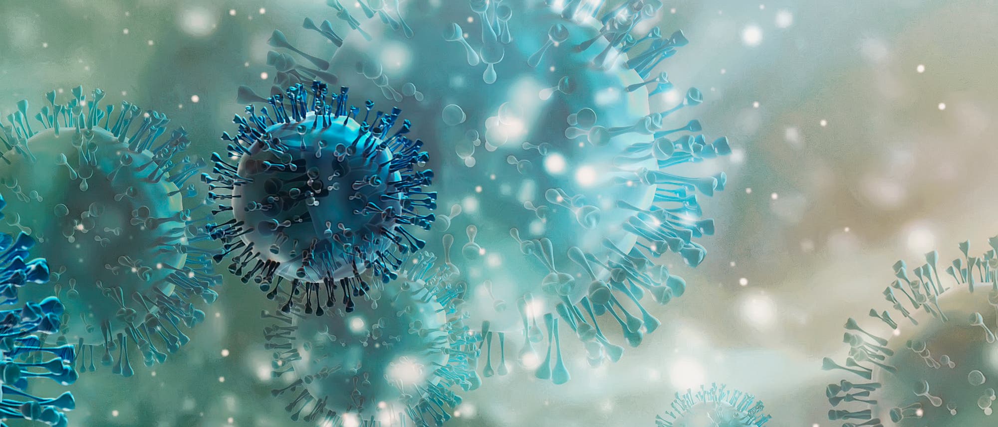Die 3-D-Illustration zeigt das Coronavirus Sars-CoV-2. Die 3-D-Illustration zeigt das Coronavirus Sars-CoV-2.