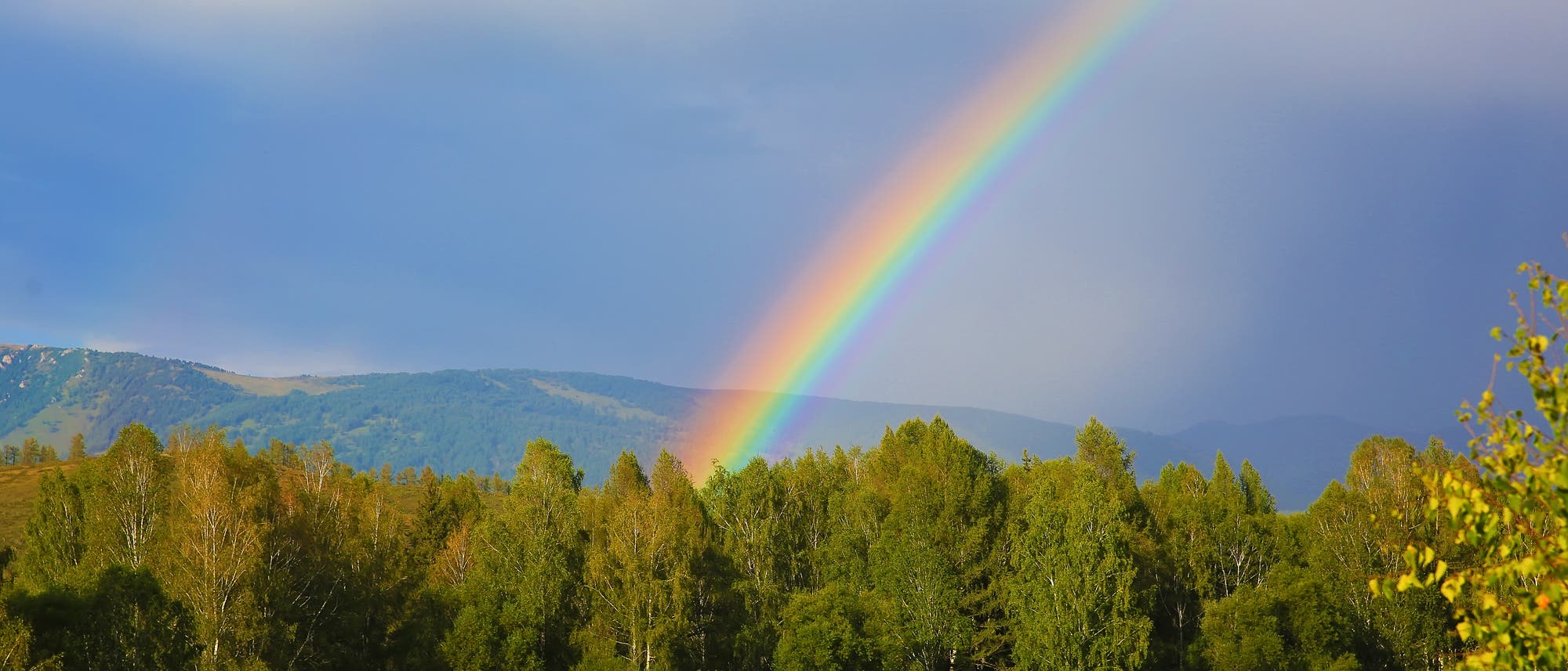 Regenbogen über einem Wald, im Hintergrund Berge. Ja, das Bild ist total cheesy. Lasst mich doch auch mal. Regenbogen über einem Wald, im Hintergrund Berge. Ja, das Bild ist total cheesy. Lasst mich doch auch mal.