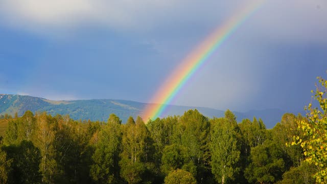 Regenbogen über einem Wald, im Hintergrund Berge. Ja, das Bild ist total cheesy. Lasst mich doch auch mal.