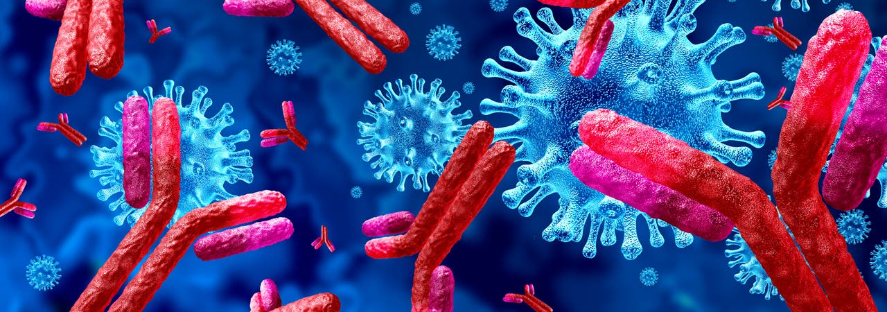 Stilisierte Viren und schematisch dargestellte Antikörper.